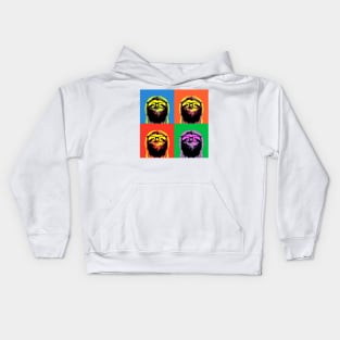 Four colors Sloth Kids Hoodie